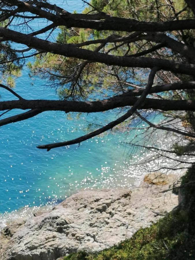 Ca Gianca Apartment Ricco del Golfo di Spezia Bagian luar foto